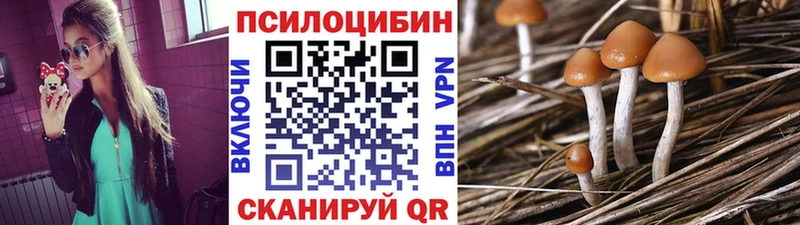 Галлюциногенные грибы GOLDEN TEACHER Бийск