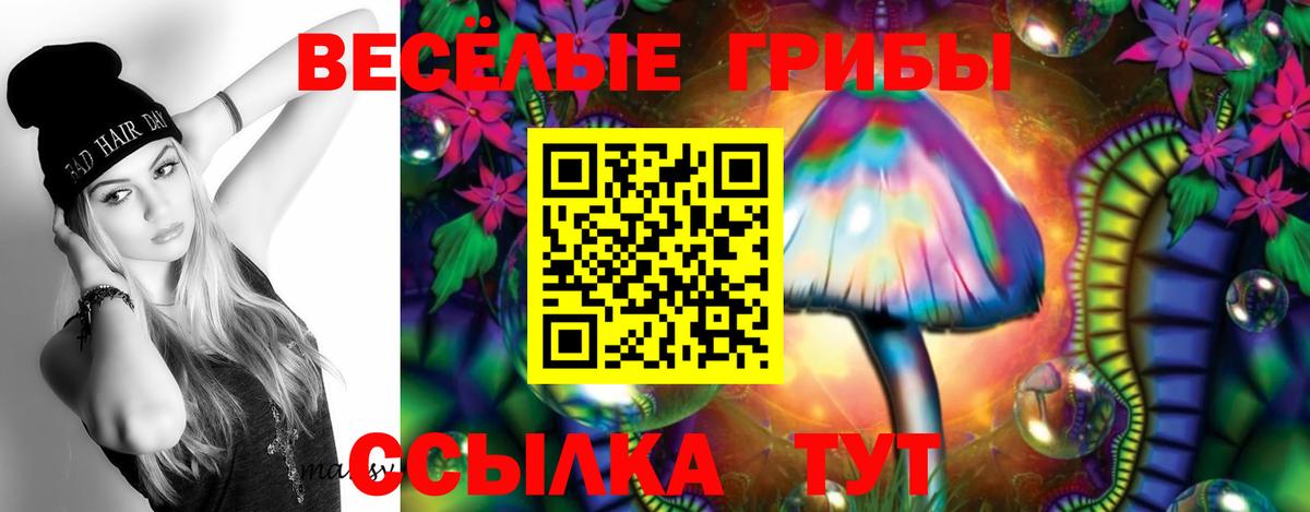 Псилоцибиновые грибы MAGIC MUSHROOMS  Вход с VPN  Галлюциногенные грибы прущие грибы  Бийск 