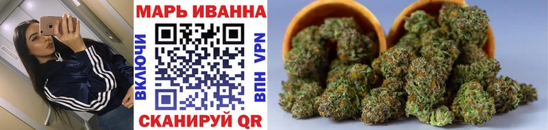 Конопля план  закладки  Бийск 